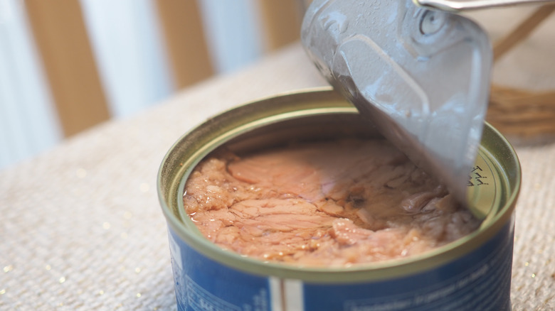 Opened can of tuna on kitchen table