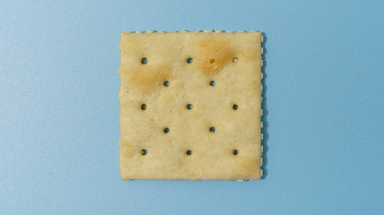 Saltine cracker on blue background