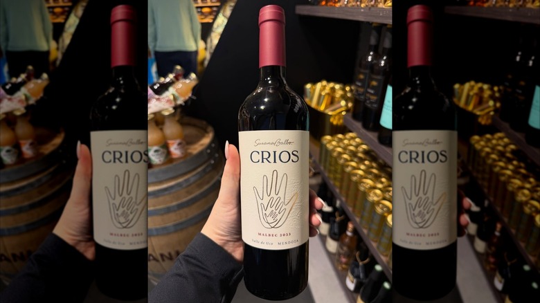 hand holding bottle of wine