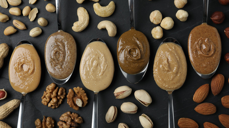 Various types of nut butter on spoons, next to corresponding types of nuts