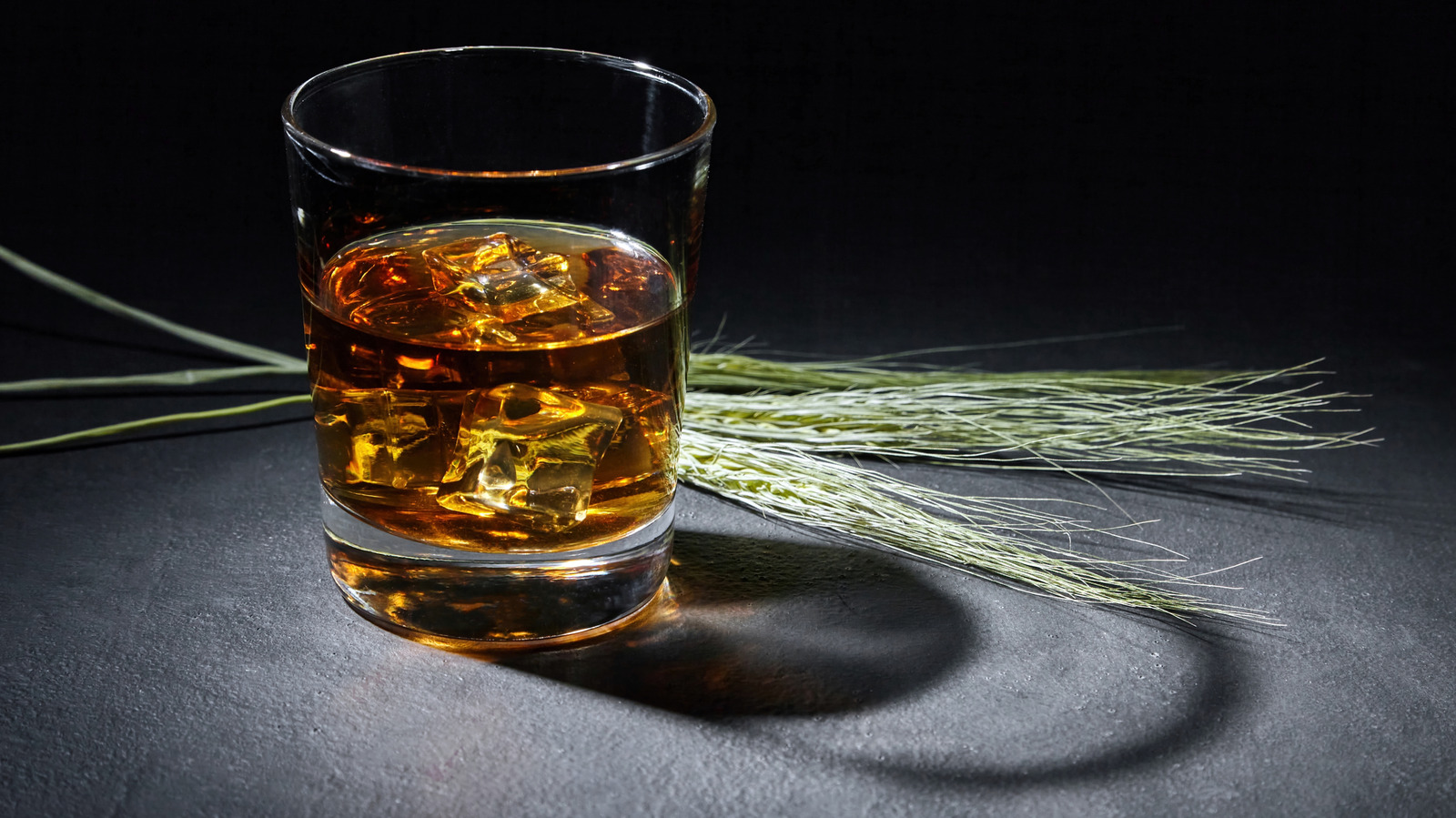 The 10 Best Rye Whiskeys For Beginners