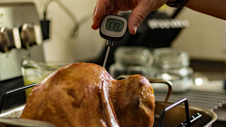 A person using a meat thermometer to check the internal temperature of the Thanksgiving turkey