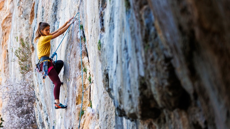 Rock climber scaling a cliff