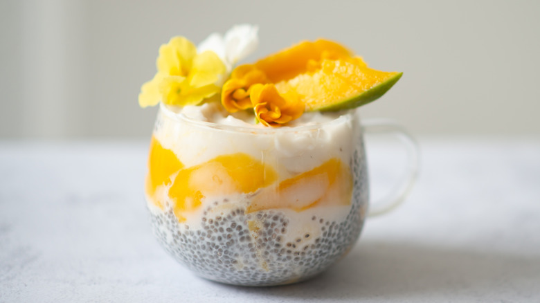 chia pudding with mango and melon
