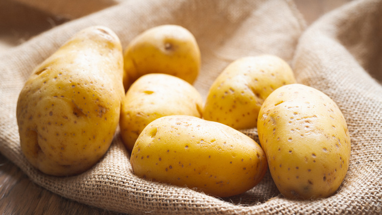 Yukon Gold potatoes on a burlap sack