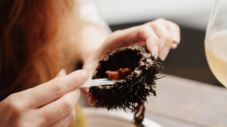 Woman inspects a sea urchin in her hands and scoops out the meat