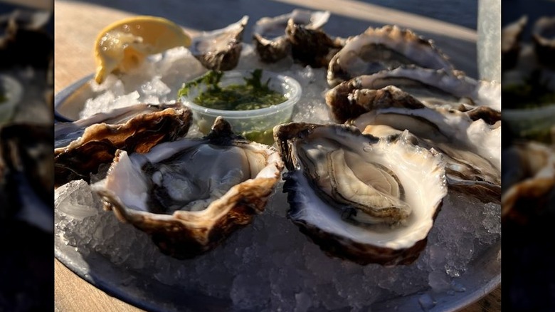 A tray of oysters on ice with water and sailboats in the background
