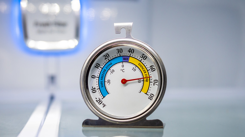 metal freezer thermometer