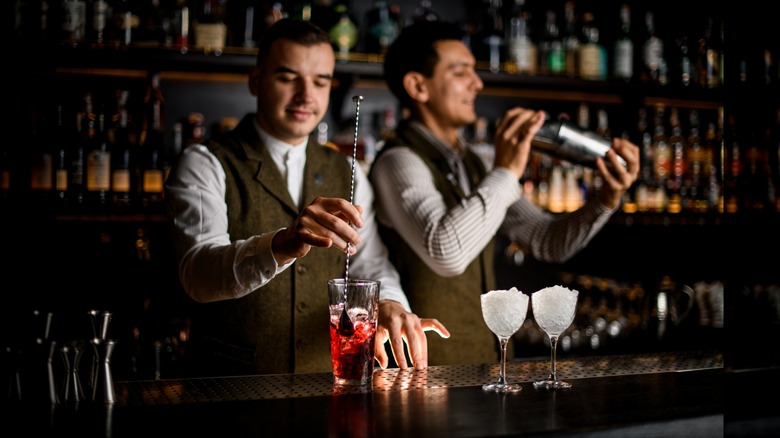 Two bartenders shaking and stirring cocktails