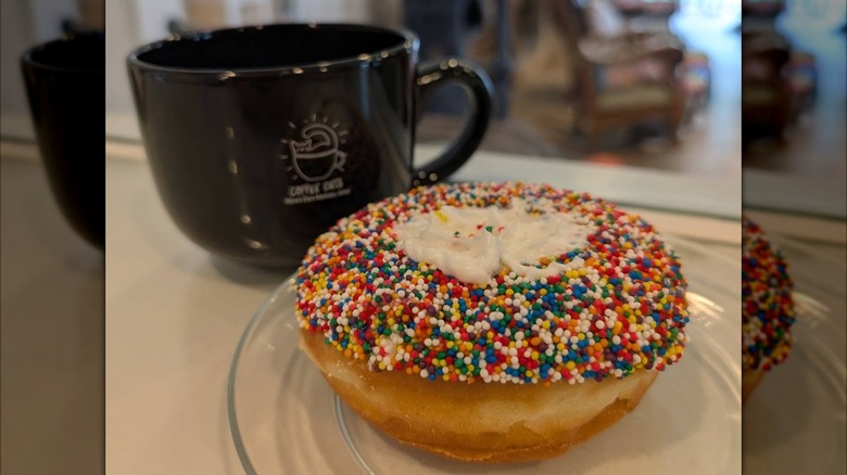 Donut and mug in front of glass window, cat lounge beyond