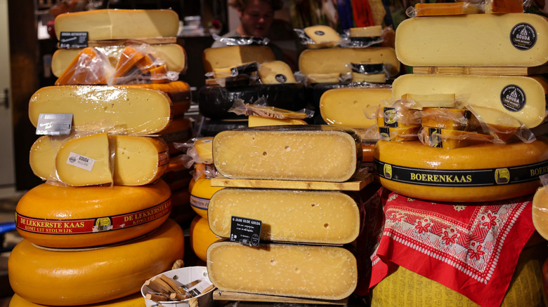 Dutch Goudas on display