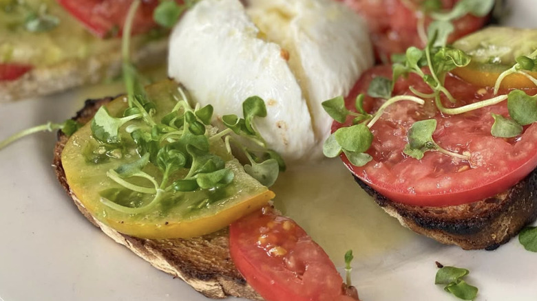 Burrata and tomatoes on toast from one of the best Italian restaurants in Seattle