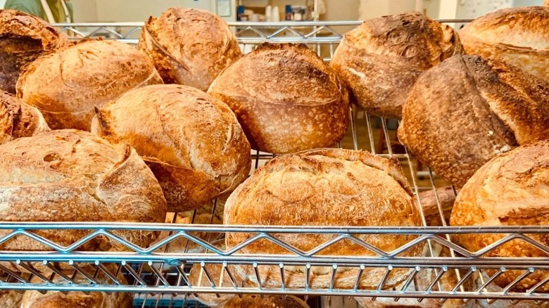 Bread loaves on display at Stinson Breads