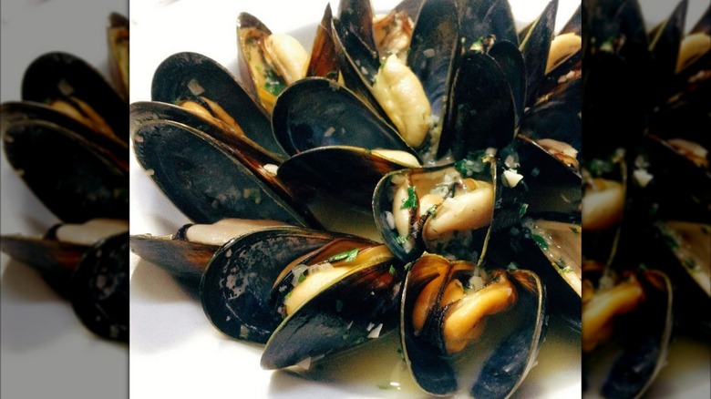 Mussels on a white plate