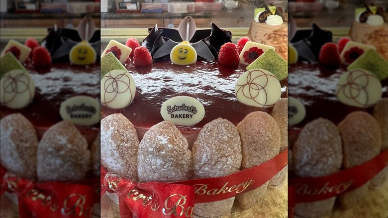cake from Schubert's Bakery
