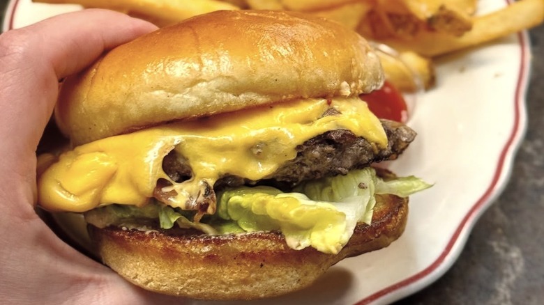 Pub burger with fries