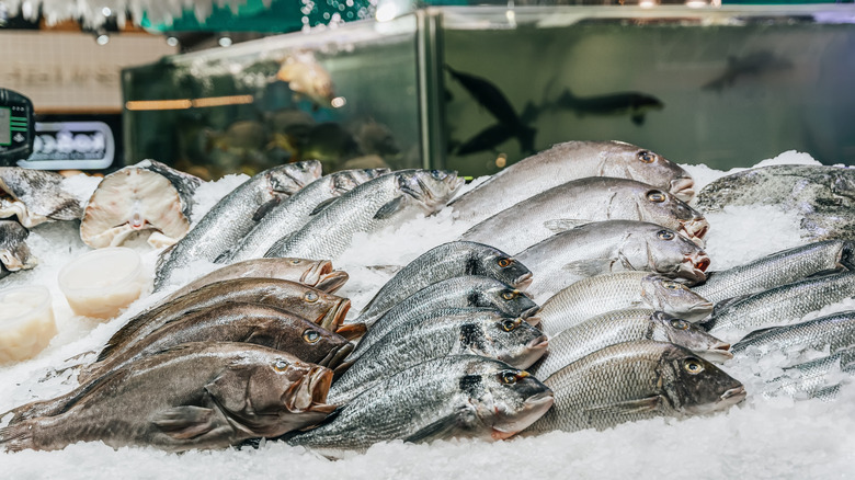 Fresh fish stored on ice for sale