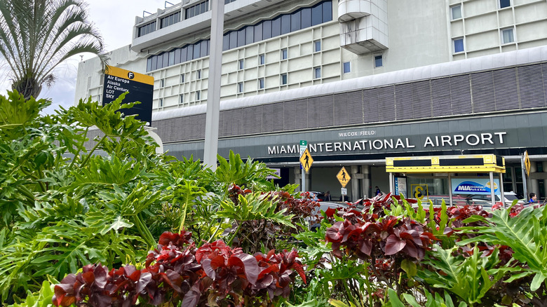 Miami International Airport from the front with plants