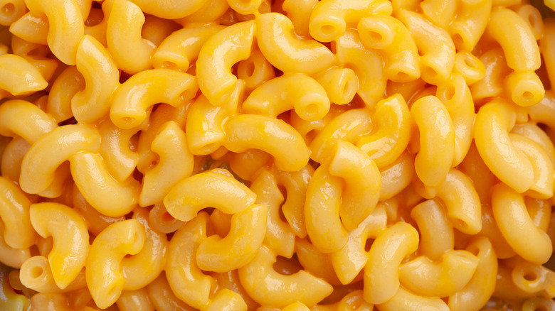 Macaroni and cheese up close