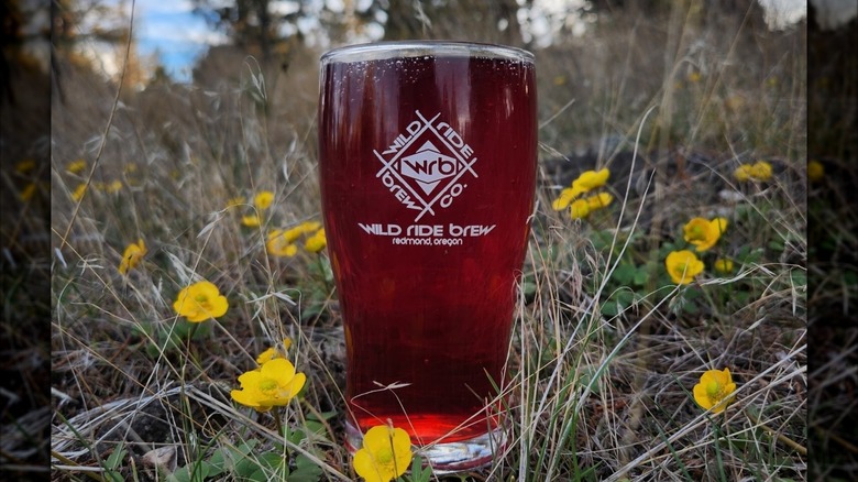 Pint of strawberry beer in field with buttercups