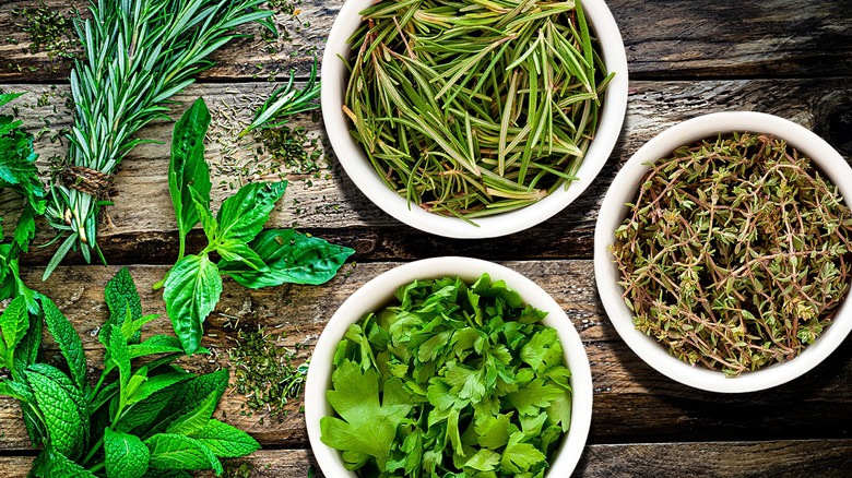 Variety of fresh herbs