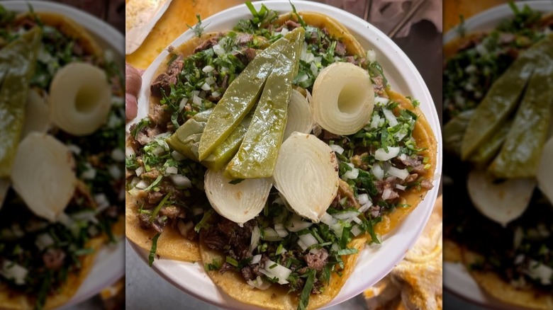Five homemade tortillas topped with generous portions of beef, onions, and cilantro