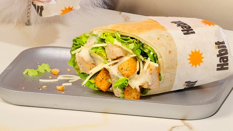 One half of a Habit Burger & Grill chicken Caesar Gotta Habit Wrap on a plate