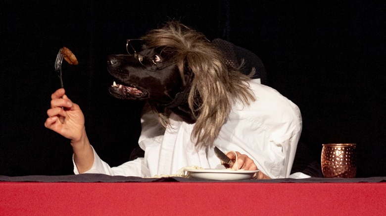 Dog in wig and shirt sitting by a plate being fed by human hands