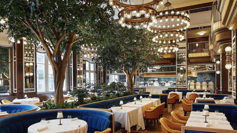 The interior of Café Carmellini in NYC featuring trees, chandeliers, and blue banquettes