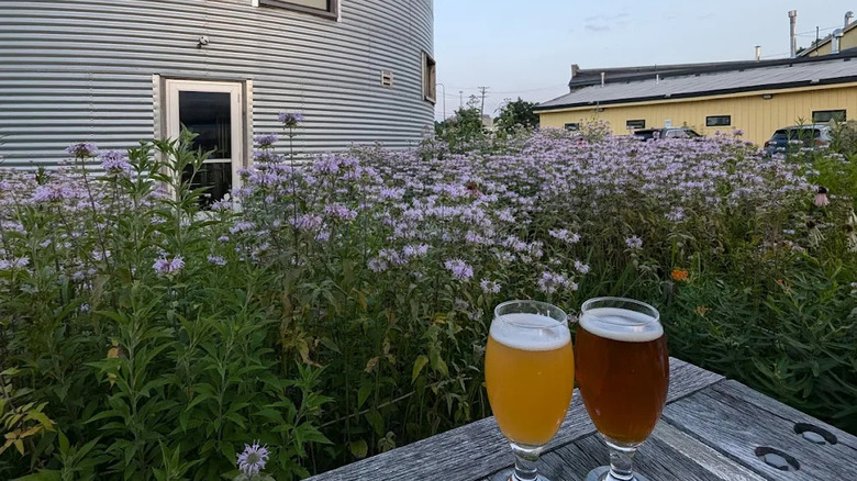 bang brewing company beer in front of grain bin