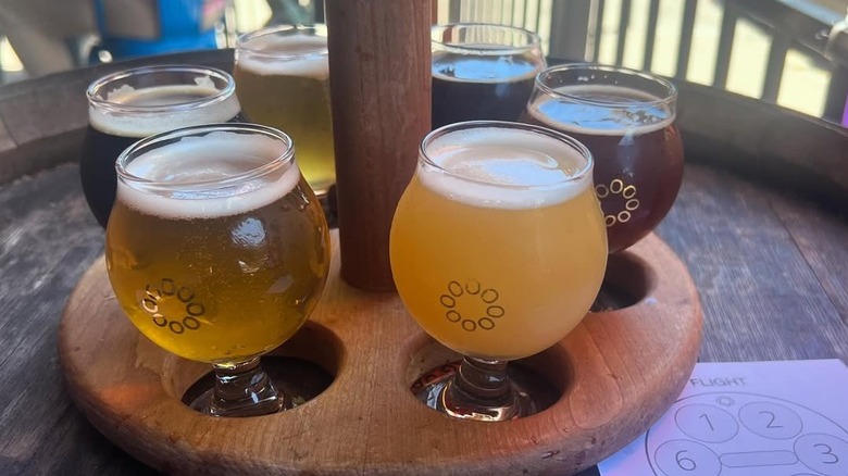 original pattern beer flight