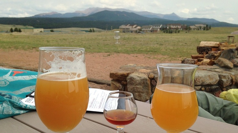 paradox beer in glasses with mountain in background