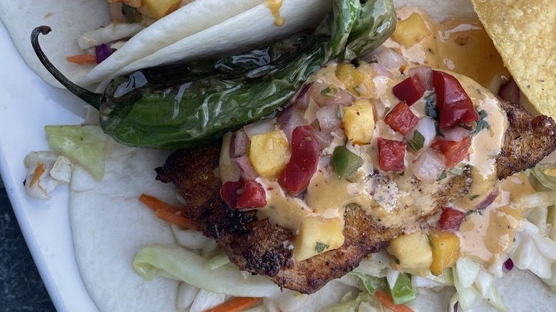 Fish taco with fruit salsa and blistered shishito