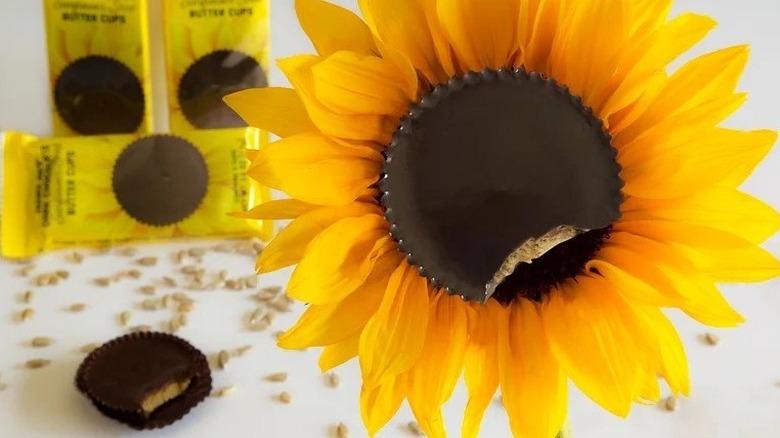 Sunflower seed butter cup mimicking the center of a sunflower, with product packaging in background