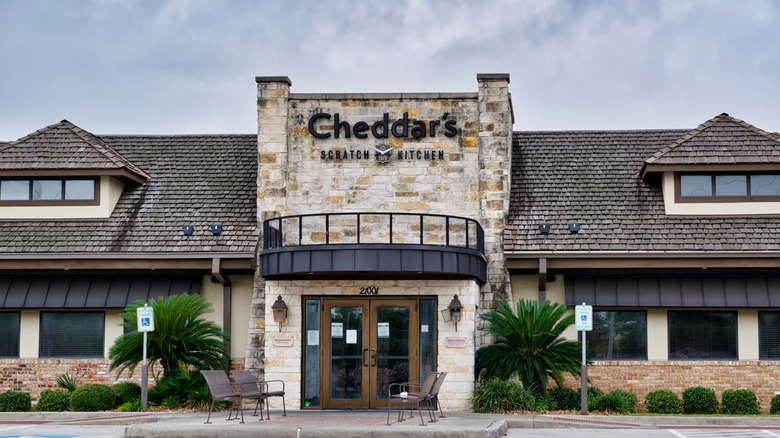 The exterior of Cheddar's Scratch Kitchen with chairs outside