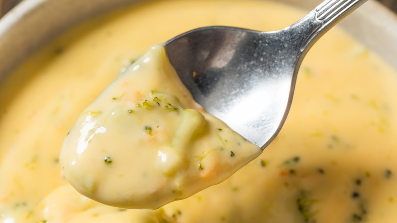 A spoonful of broccoli cheddar soup hovering above a bowl of the same