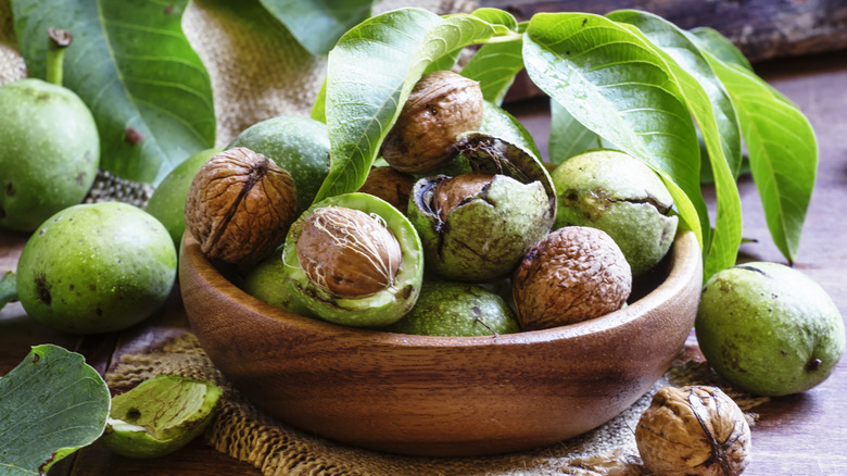 Fresh walnuts in shell 