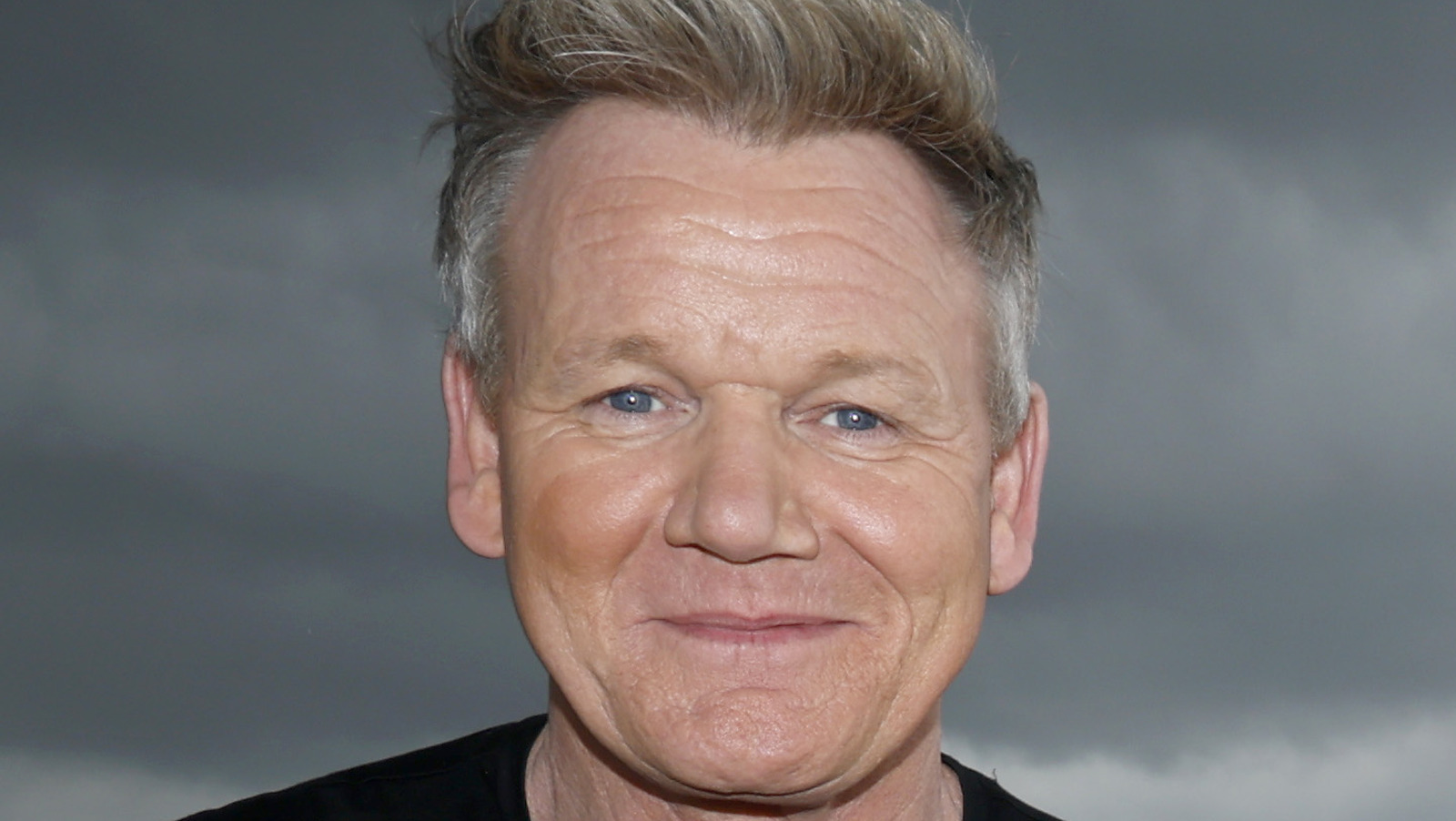 The 2 Types Of Blenders Gordon Ramsay For Home Cooks