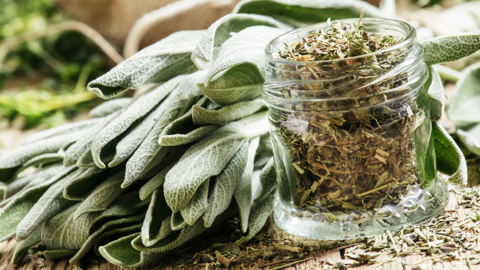 The 2 Types Of Dried Sage, Explained