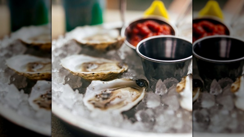 Three oysters on a tray of ice