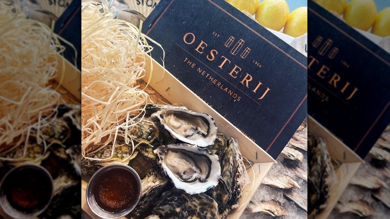 Oysters next to a navy blue box