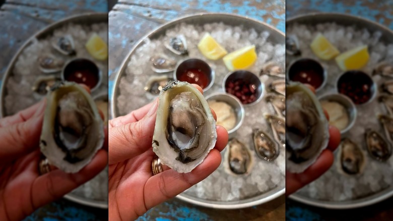 A small oyster held in someone's hand