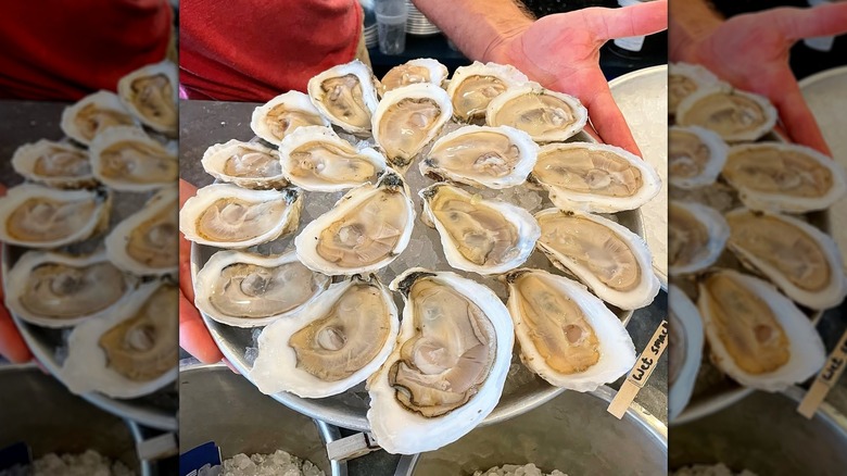 A plate of raw oysters being handed to a customer