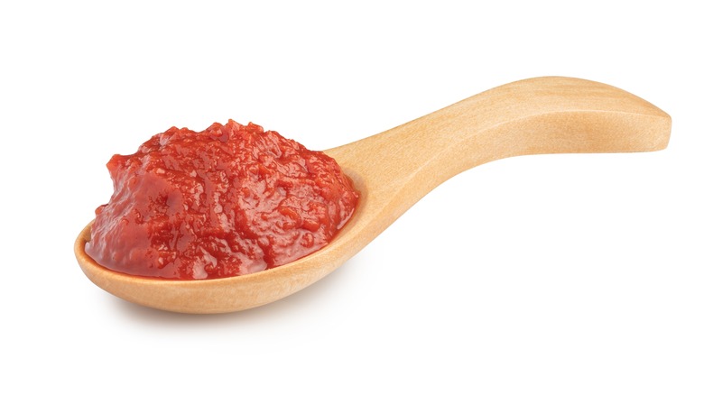 Tomato paste on wooden spoon
