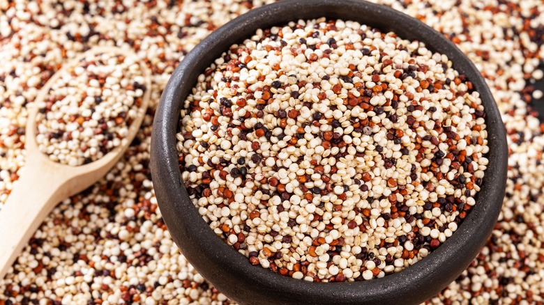 White, red, and black quinoa