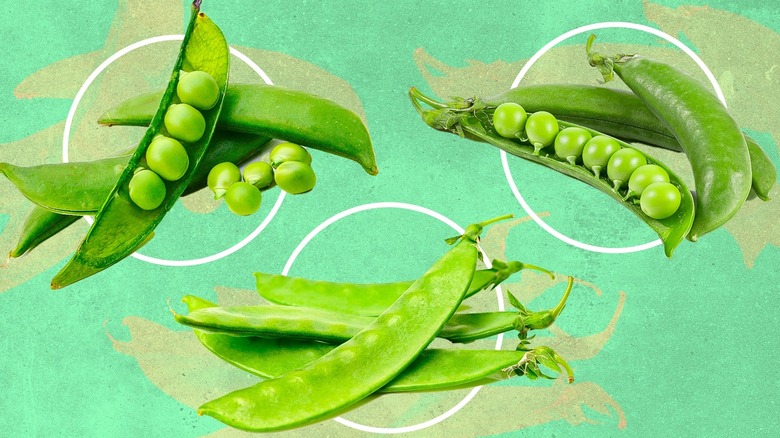 Snap peas, snow peas, and shelling peas on a green background