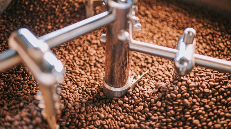 coffee beans in a roasting machine