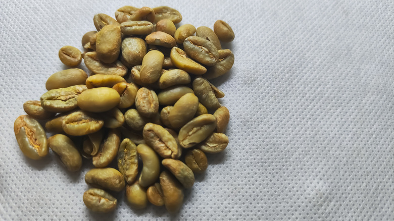 green excelsa coffee beans piled on white fabric