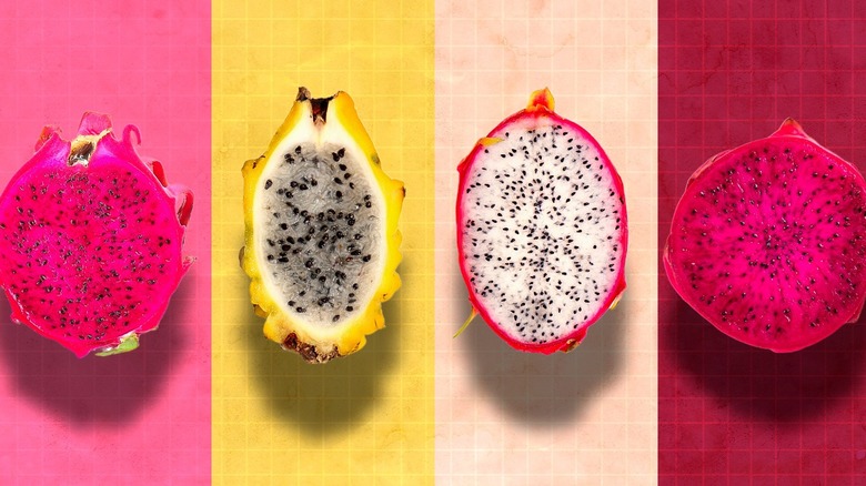 Four types of dragon fruit sliced on colorful background