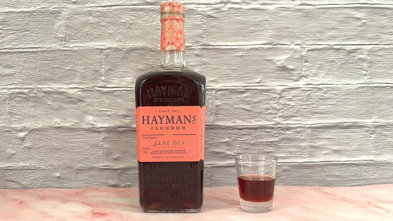 Bottle and shot glass of Hayman's of London sloe gin on pink table